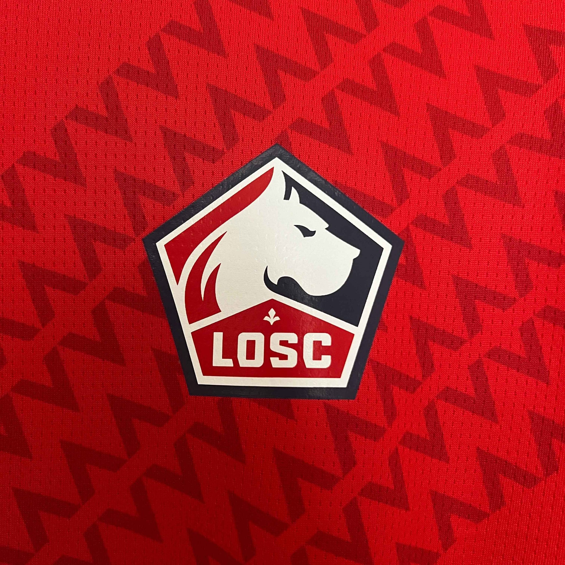 LOSC Maillot Domicile 24/25