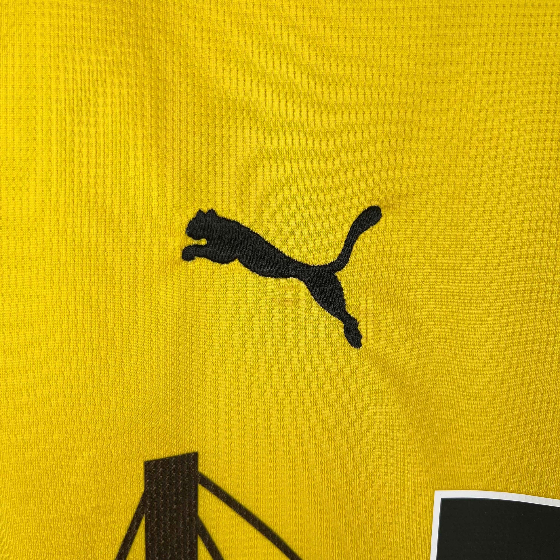 BVB Maillot Concept