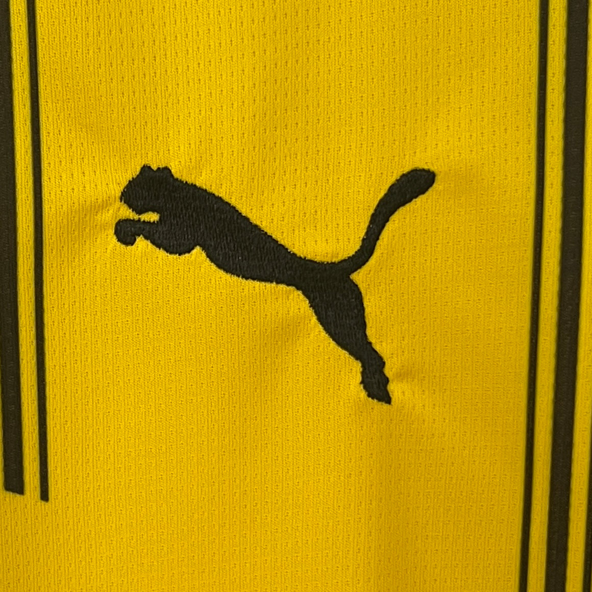 BVB Maillot Domicile 24/25 - Pitch Kits