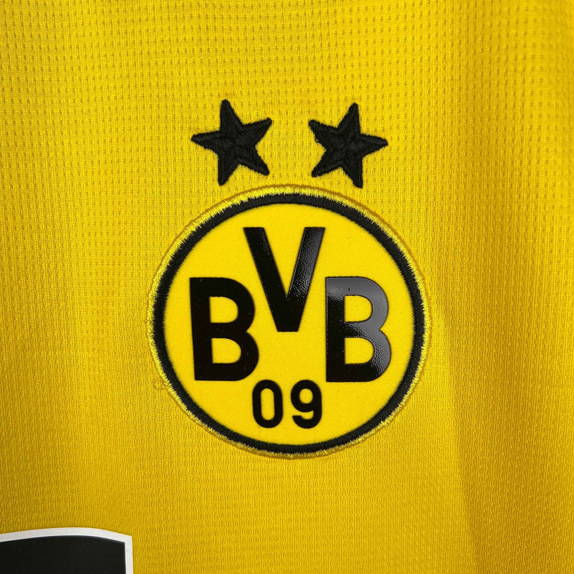 BVB Maillot Concept