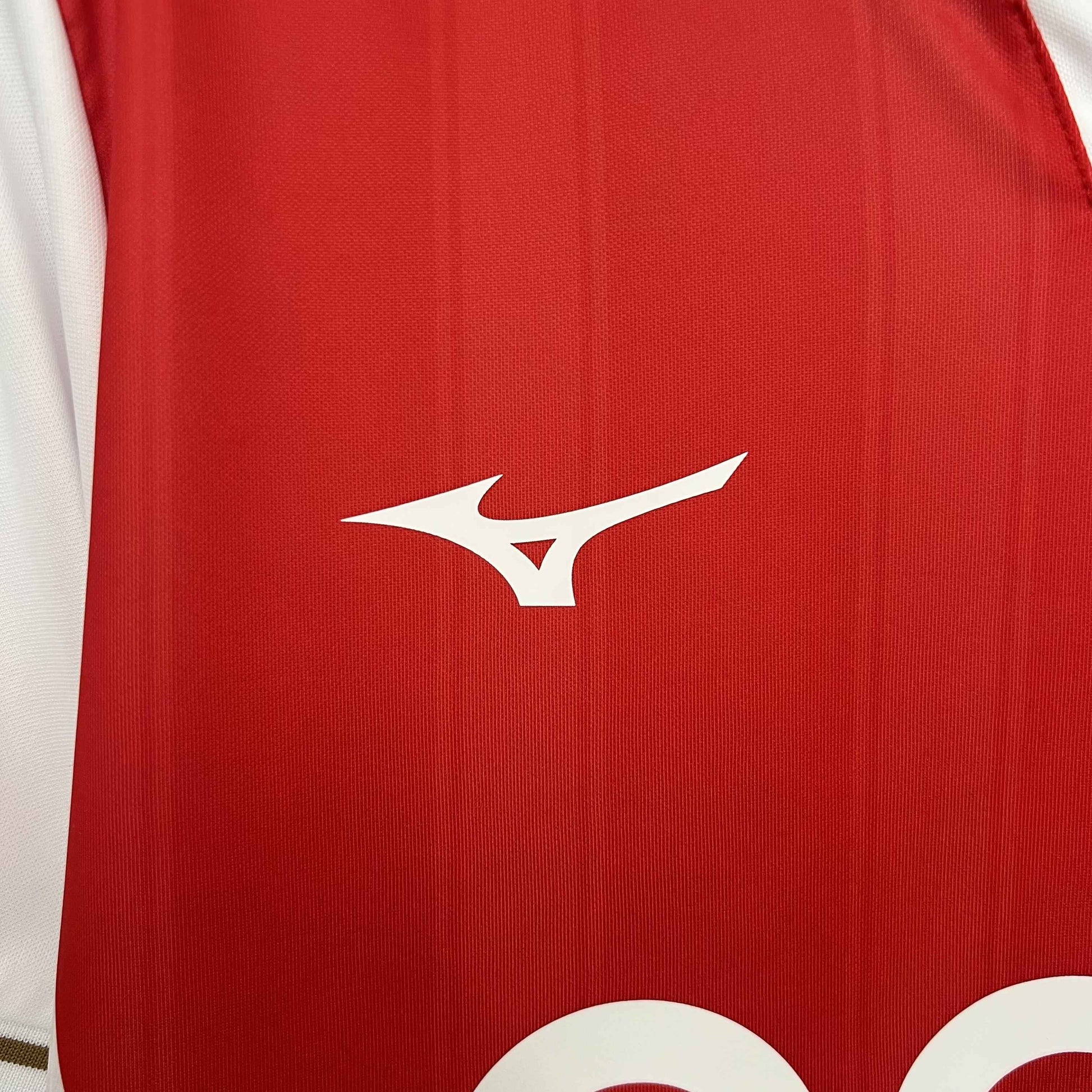 Monaco Maillot Domicile 25/26